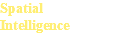 Spatial Intelligence 